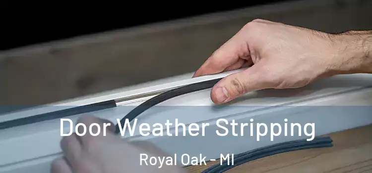 Door Weather Stripping Royal Oak - MI