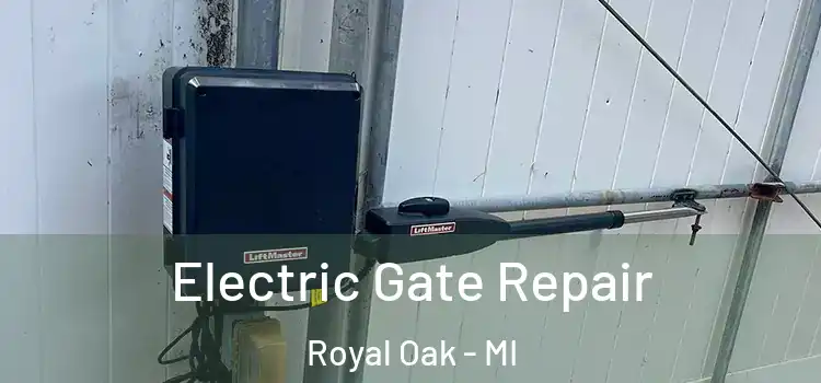 Electric Gate Repair Royal Oak - MI