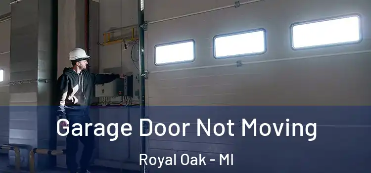  Garage Door Not Moving Royal Oak - MI