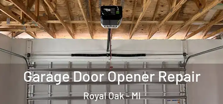  Garage Door Opener Repair Royal Oak - MI