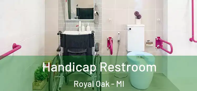 Handicap Restroom Royal Oak - MI
