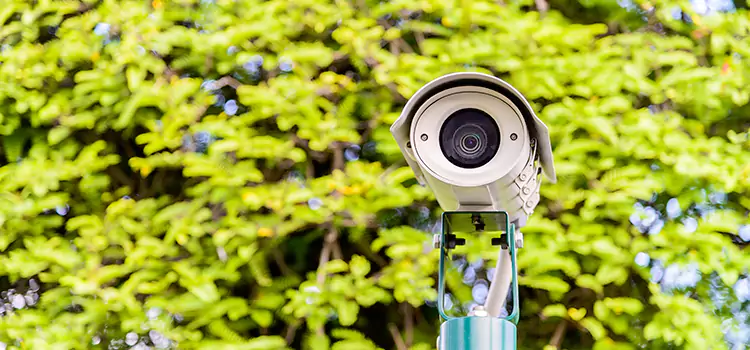 Advanced Surveillance Solutions for Every Need in Royal Oak