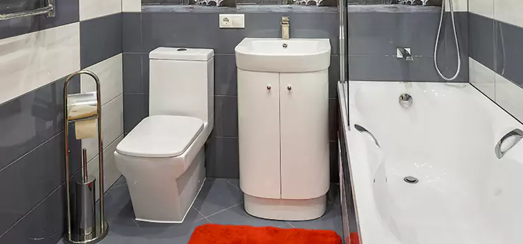 Hansgrohe Shaving Mirror Royal Oak