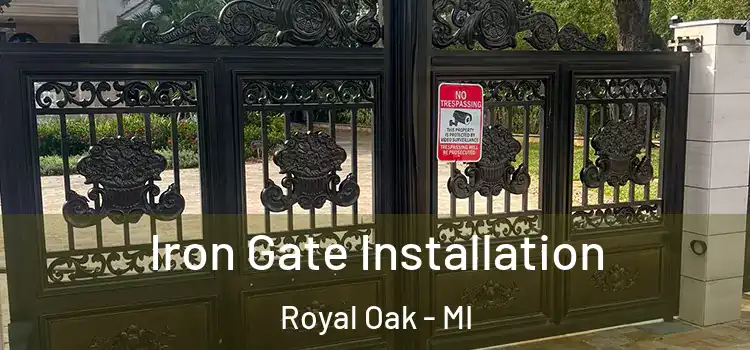 Iron Gate Installation Royal Oak - MI
