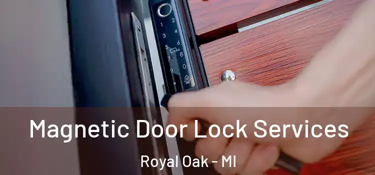 Magnetic Door Lock Services Royal Oak - MI