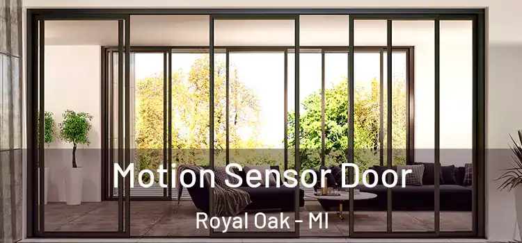 Motion Sensor Door Royal Oak - MI